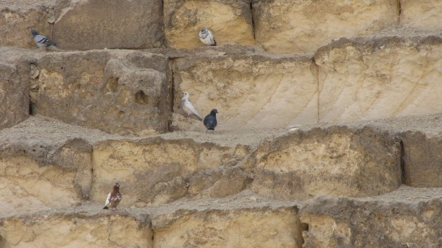 Базальтовый пол у пирамиды Хуфу