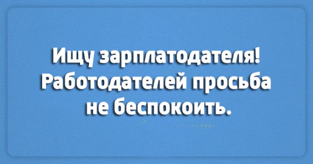 9513278.jpg
