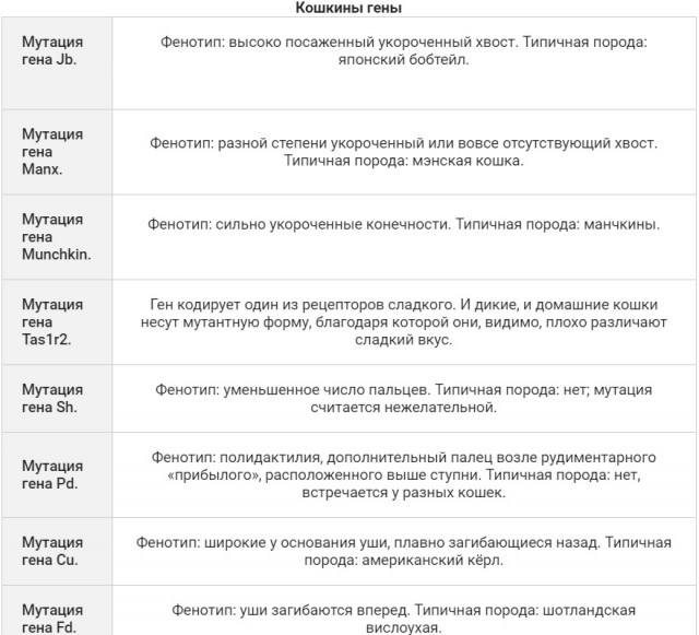 Кто, когда и зачем приручил первую кошку?