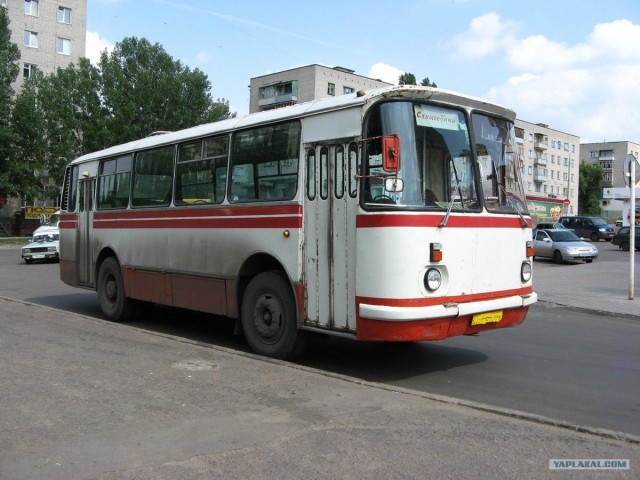 1295478.jpg