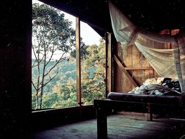 Удивительные фотографии домов, затерянных в лесах