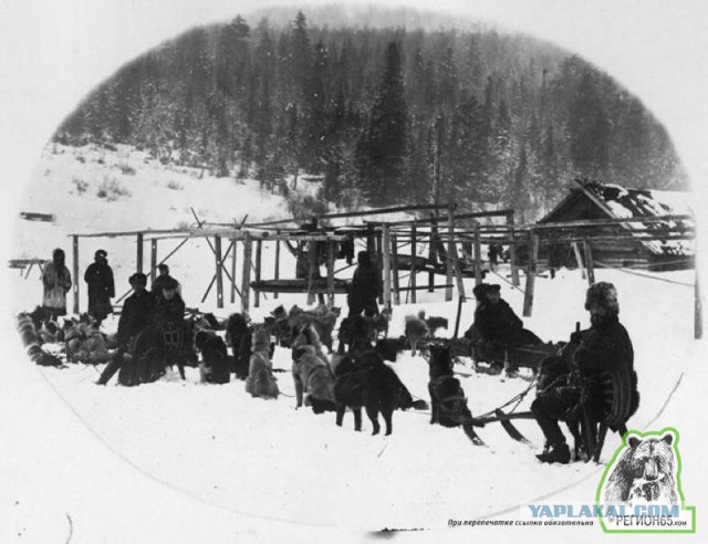 Фильм «БЕЛЫЙ ПЛЕН» - голивудская версия