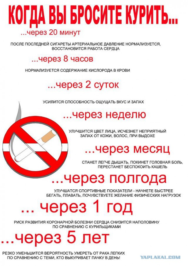 Таблетки от курения табекс отзывы цена в москве
