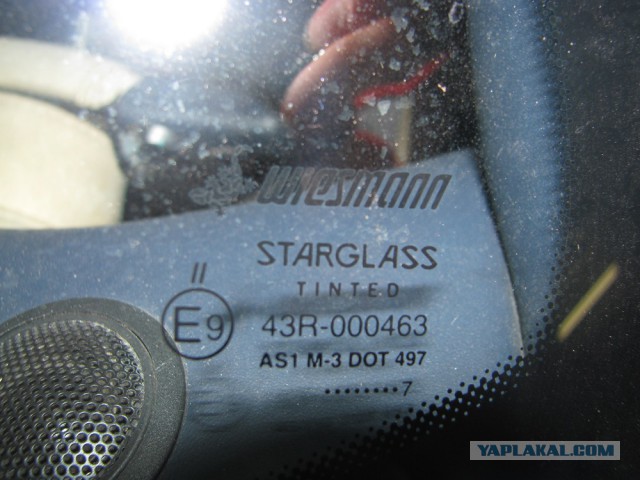 3361978.jpg