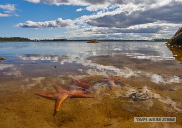 Карелия. Белое море.