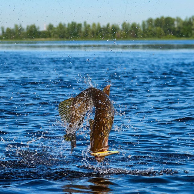 Скоро конец запрета!