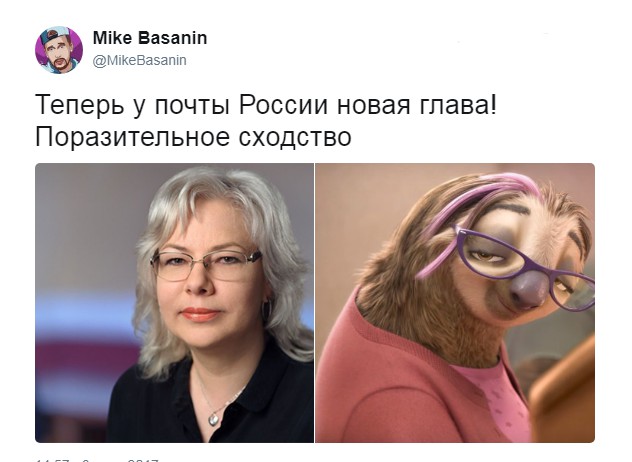 9960388.jpg