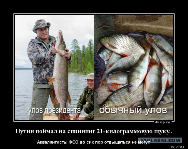стихи про путина и рыбаков стихи про путина и рыбаков