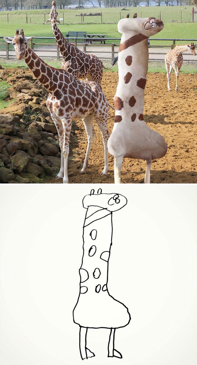 8622488.jpg