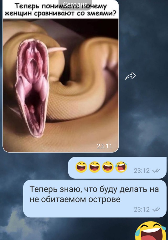 13190688.jpg