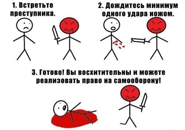 3394688.jpg