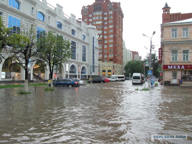 Потоп в Туле