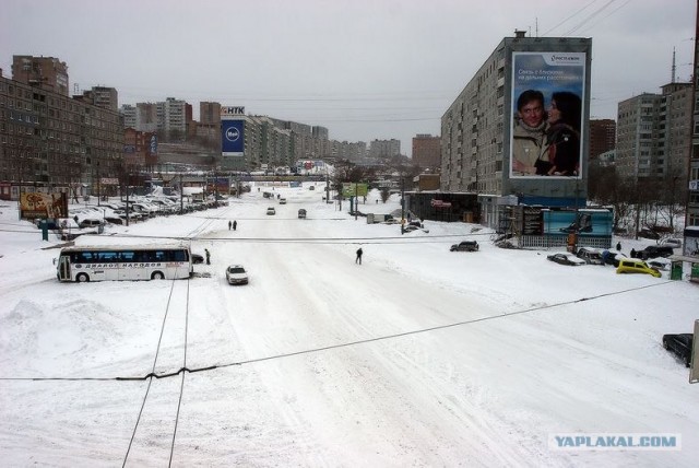 Я люблю Владивосток