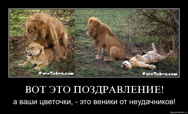 Поздравление вот тебе веник Поздравление вот тебе веник