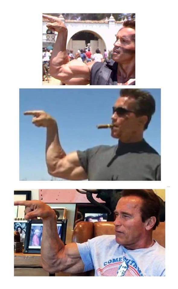 7967988.jpg