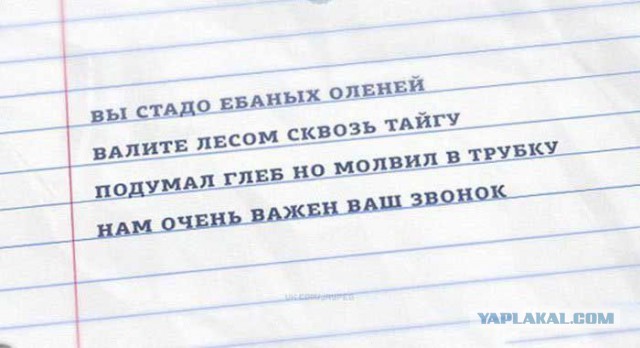3264198.jpg