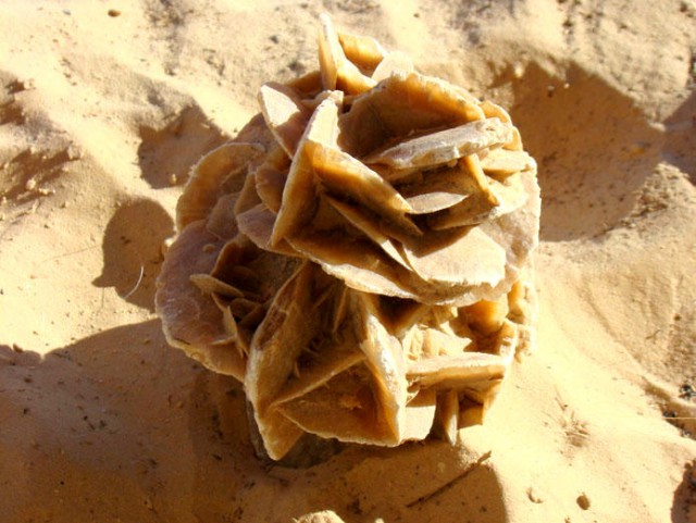 Песчаная роза