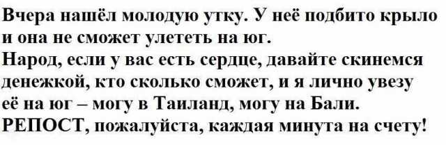 Немного позитива на выходной я начну а вы продолжите