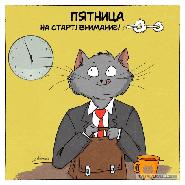 Типичный кот