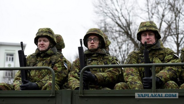 В Нарве прошел военный парад сил обороны Эстонии