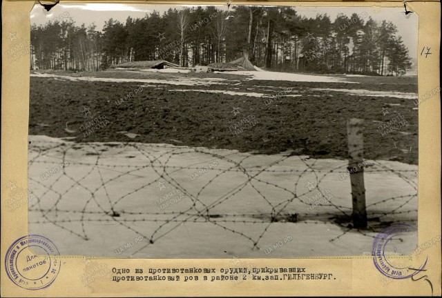 Восточная Пруссия, зима 1945