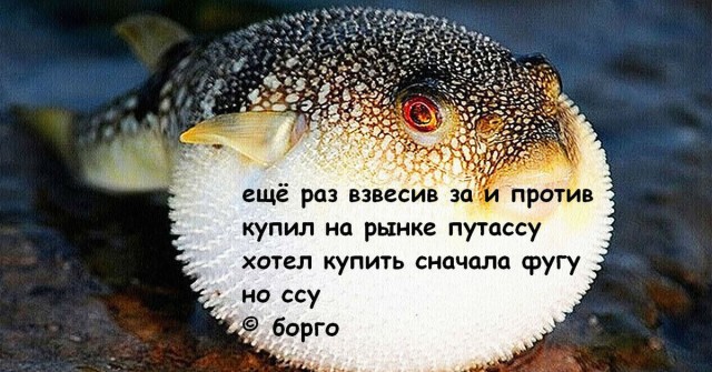 Зачем нужен нож, которым нельзя ни до чего дотрагиваться?