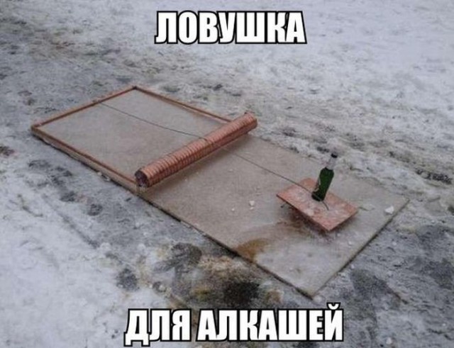 7200919.jpg