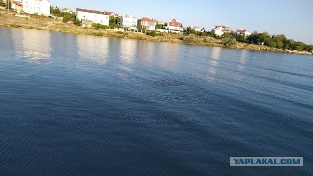 Поход на катере бухта Казачья (Севастополь) к мысу Тарханкут (Оленёвка) в сентябре 2019
