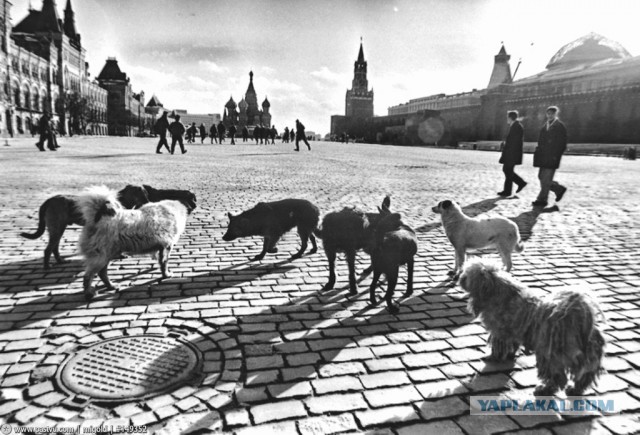 Прогулка по Москве 1993 года