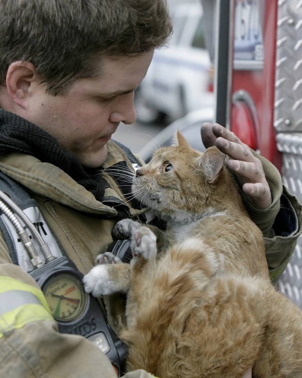 Благодарный котенька, спасенный из пожара