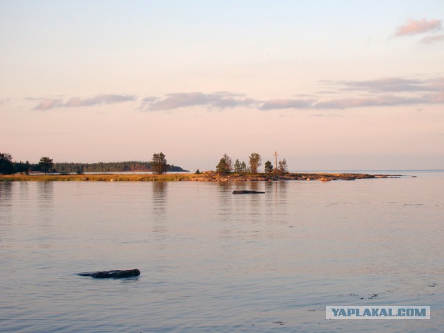 Белое море или река Нижний Выг?