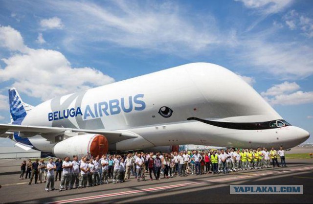 Проверка тормозов Airbus Beluga XL