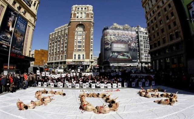 Обнаженная акция протеста в Мадриде против корриды