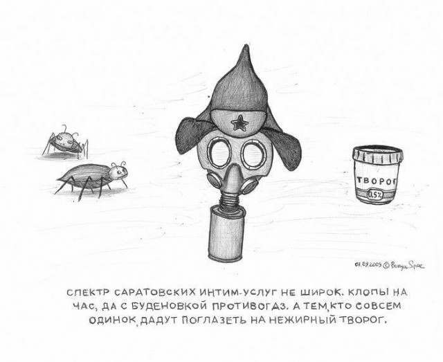 3271629.jpg