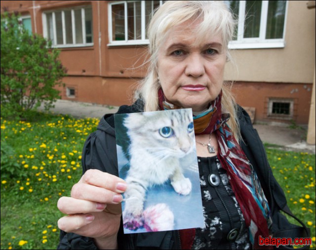 Белорусские волонтеры спасли 11 котов