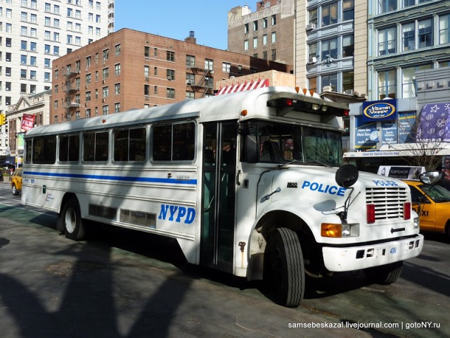 Автомобили нью-йоркской полиции