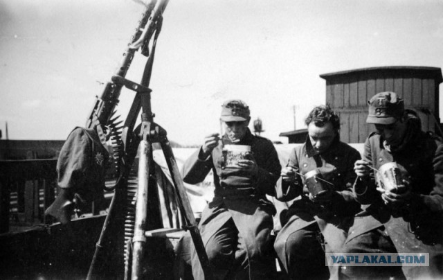 1-я Горно-стрелковая дивизия вермахта "Эдельвейс"