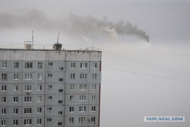 Утренний туман во Владивостоке