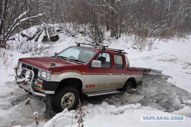 Datsun здорового человека