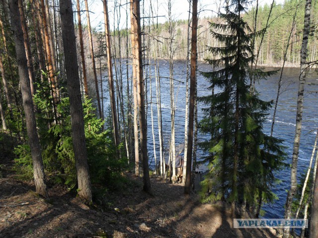 Река Уксунйоки (Укса). Карелия. Сплав по большой воде. Фотоотчет