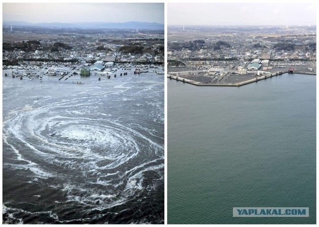 Tsunami: год спустя.