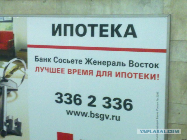 8235539.jpg