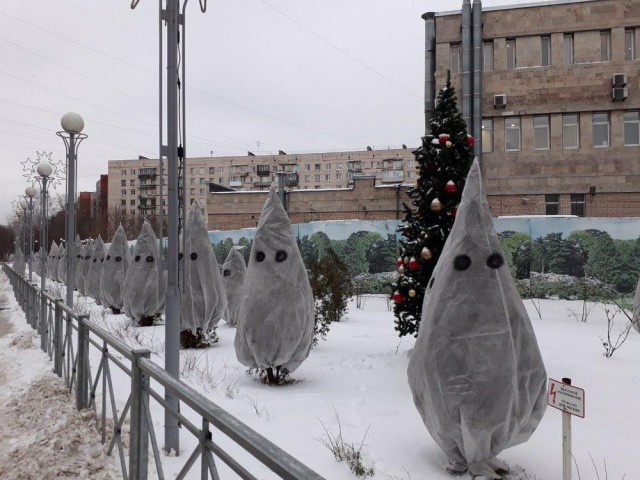 Белые ночи зимой, или как "украшают" районы Петербурга к новому году