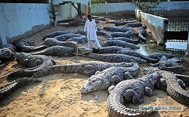 Подборка фотографий со всего света