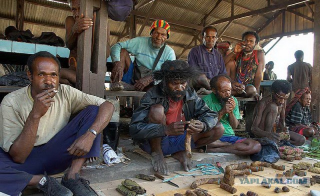 Путешествие в страну папуасов, людей и каннибалов