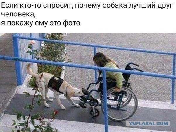 Посвящаю это людям