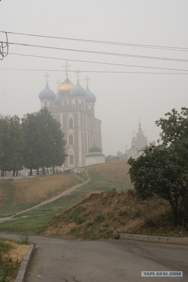 Пожары в рязанской области