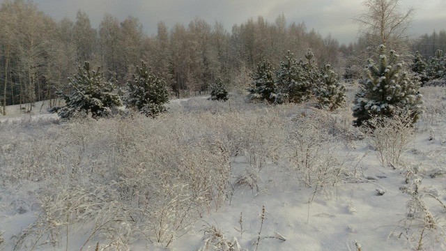 А тем временем в Краснодаре чудная погодка