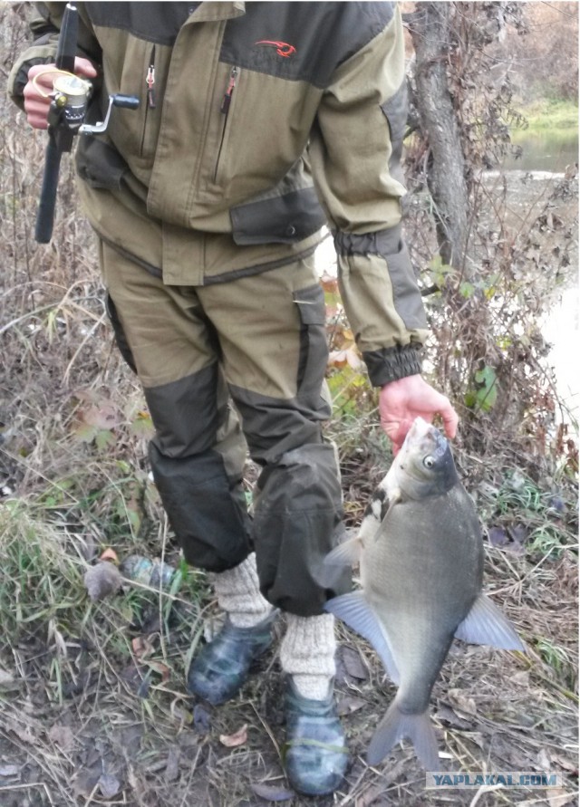 Весна, ждем рыбалки по открытой воде.