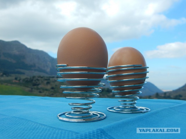 Аперитив Изобретателя с Яйцами